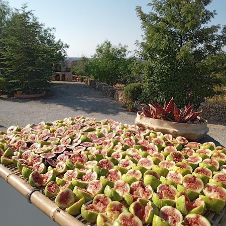 Oniro Specchia Bed & Breakfast ภายนอก รูปภาพ