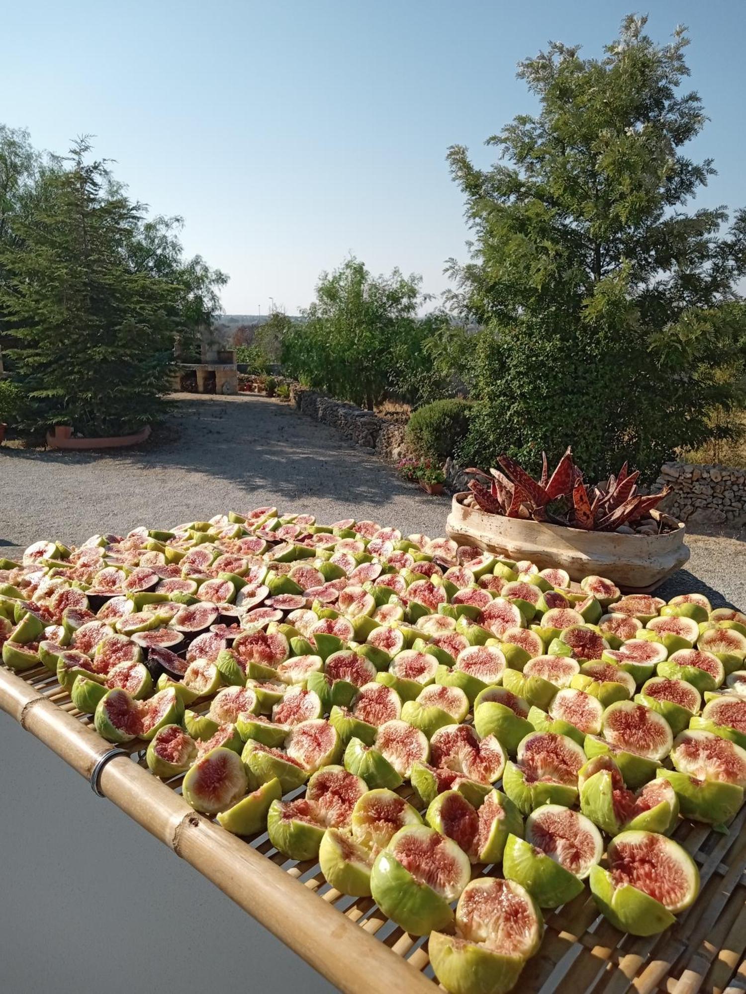 Oniro Specchia Bed & Breakfast ภายนอก รูปภาพ