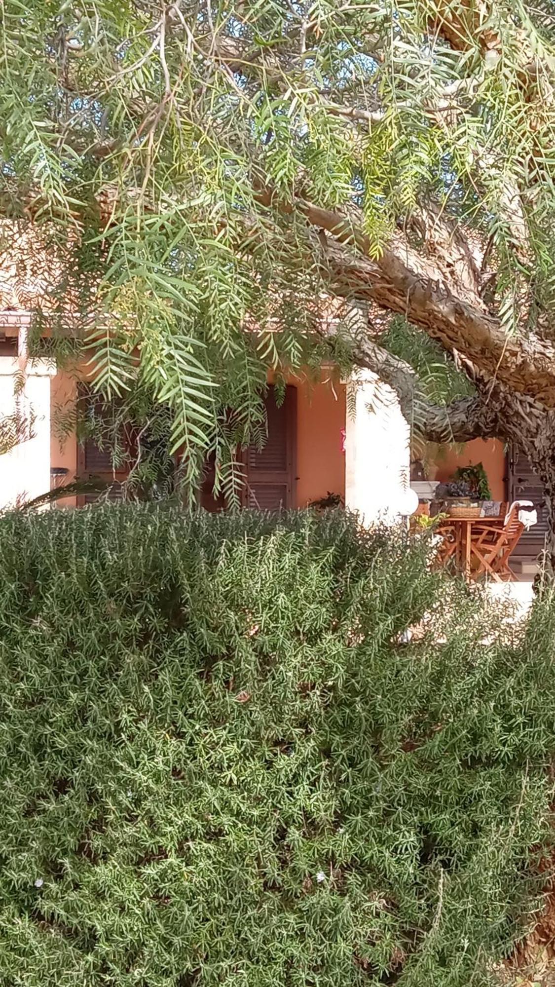 Oniro Specchia Bed & Breakfast ภายนอก รูปภาพ